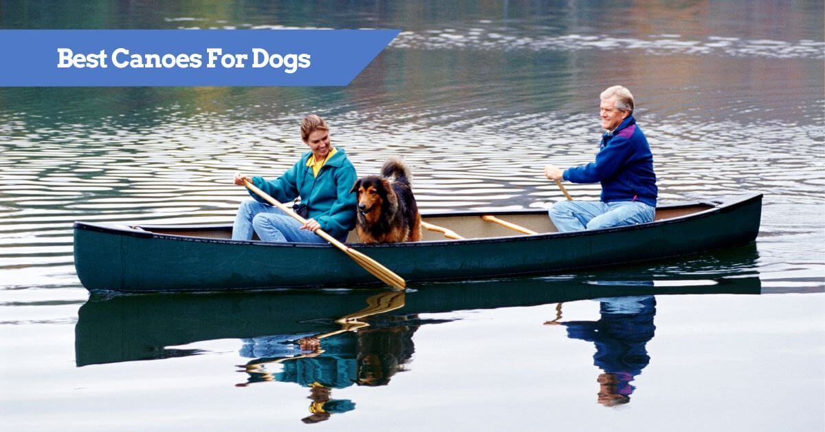 KayakGurucom's tweet photo. Canoeing with your dog 🐶 🛶 can be a great adventure. Continue reading to learn more about the best canoes for your pooch as well as advice on how to make your dog's canoe adventure safe and comfortable. https://t.co/b07q60aFJz https://t.co/npeFpvPd1L