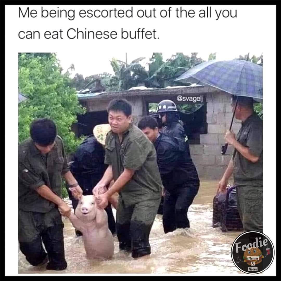 bart_ella's tweet photo. #food #Chinese #lol #Memes #restauration #humour #fat #pig #love #food https://t.co/X7mhL9wyiC