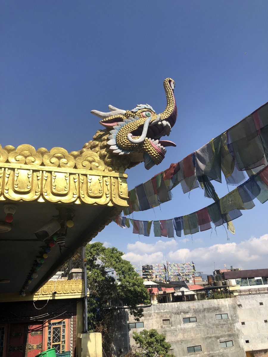 lucyjayneN's tweet photo. Enjoying Nepal https://t.co/JfonBFOiTb