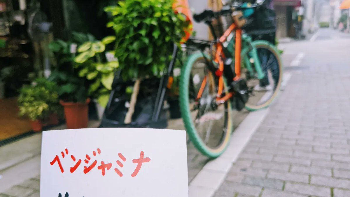 imao11's tweet photo. おはようございます☺✨家の撮影スタジオで使う観葉植物を買いにきました☺🚵💨家の中に緑があるって良き🌳キャミリーがあると自転車でできる買い物の幅が広がります！#PR期間終わっているのに使いたくなる自転車用品 https://t.co/JNf3wFij0K