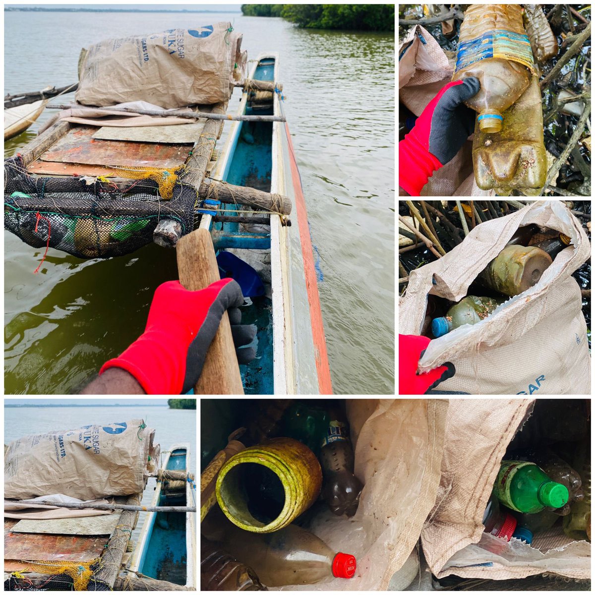 Completing two months of the first ever daily lagoon cleanup operation by #cleanoceanforce on the #Negombo #lagoon removing more than 1000 Kgs of #plastics and other #pollutants floating on the lagoon and stuck in the #mangroves using traditional #catamarans.