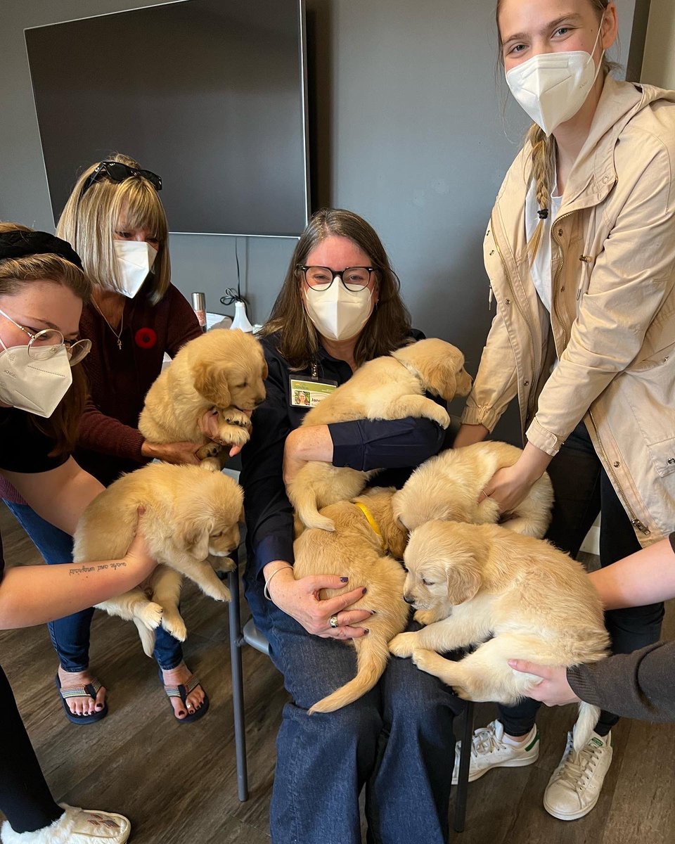 Janet Fairbridge tweet media