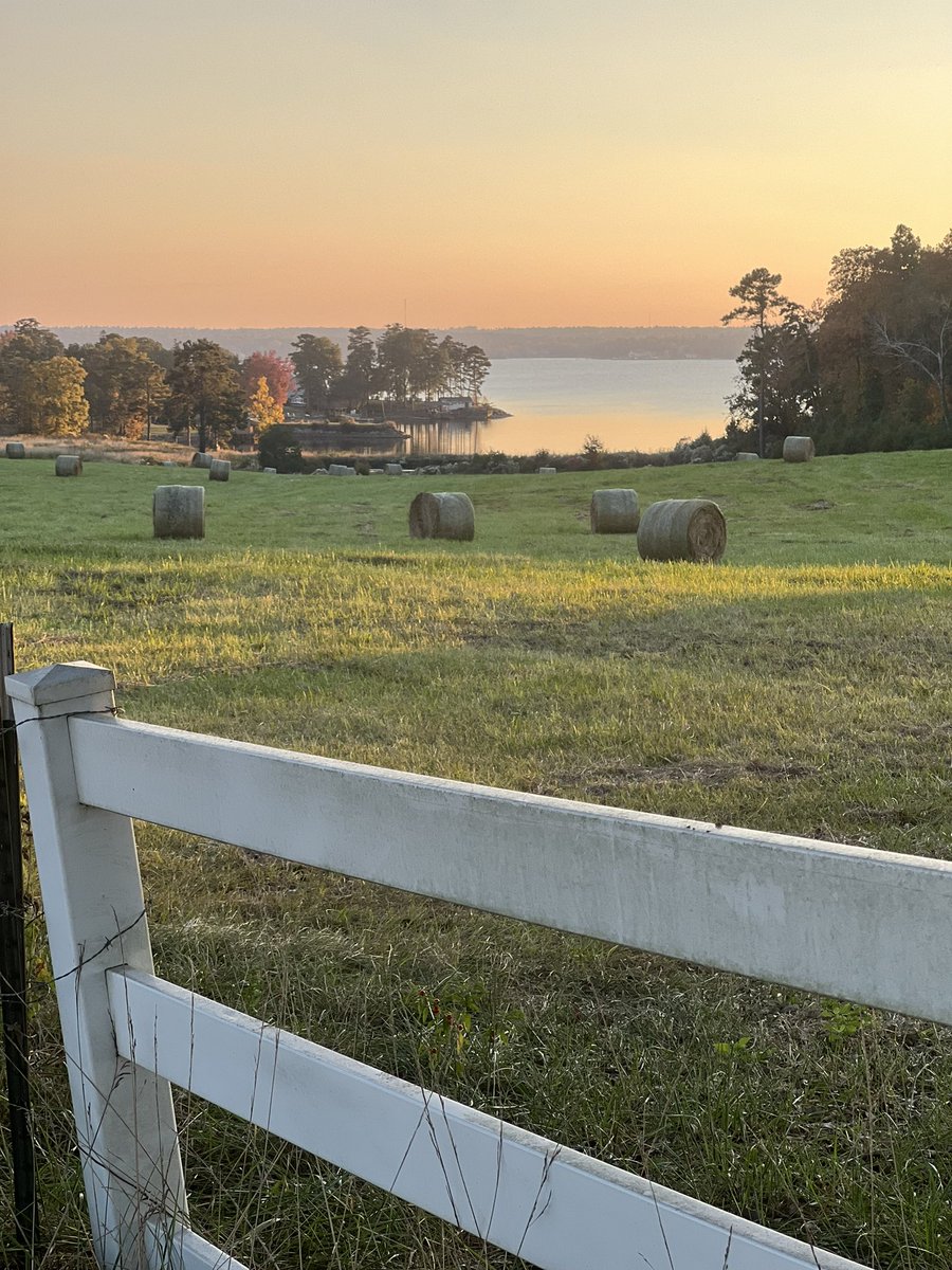 ColaKris tweet media