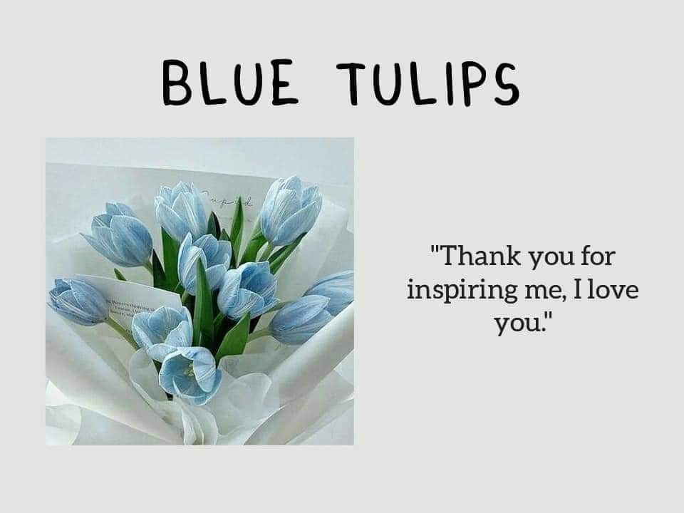 "Blue tulips are thought to symbolize tranquility and peace because of the blue color. When given to someone else, the flowers convey a message of trust and loyalty."

Here's a blue tulips for our Akhi, thank you for inspiring us! @g22biancavforro

xoxo,
BiancaBaddies