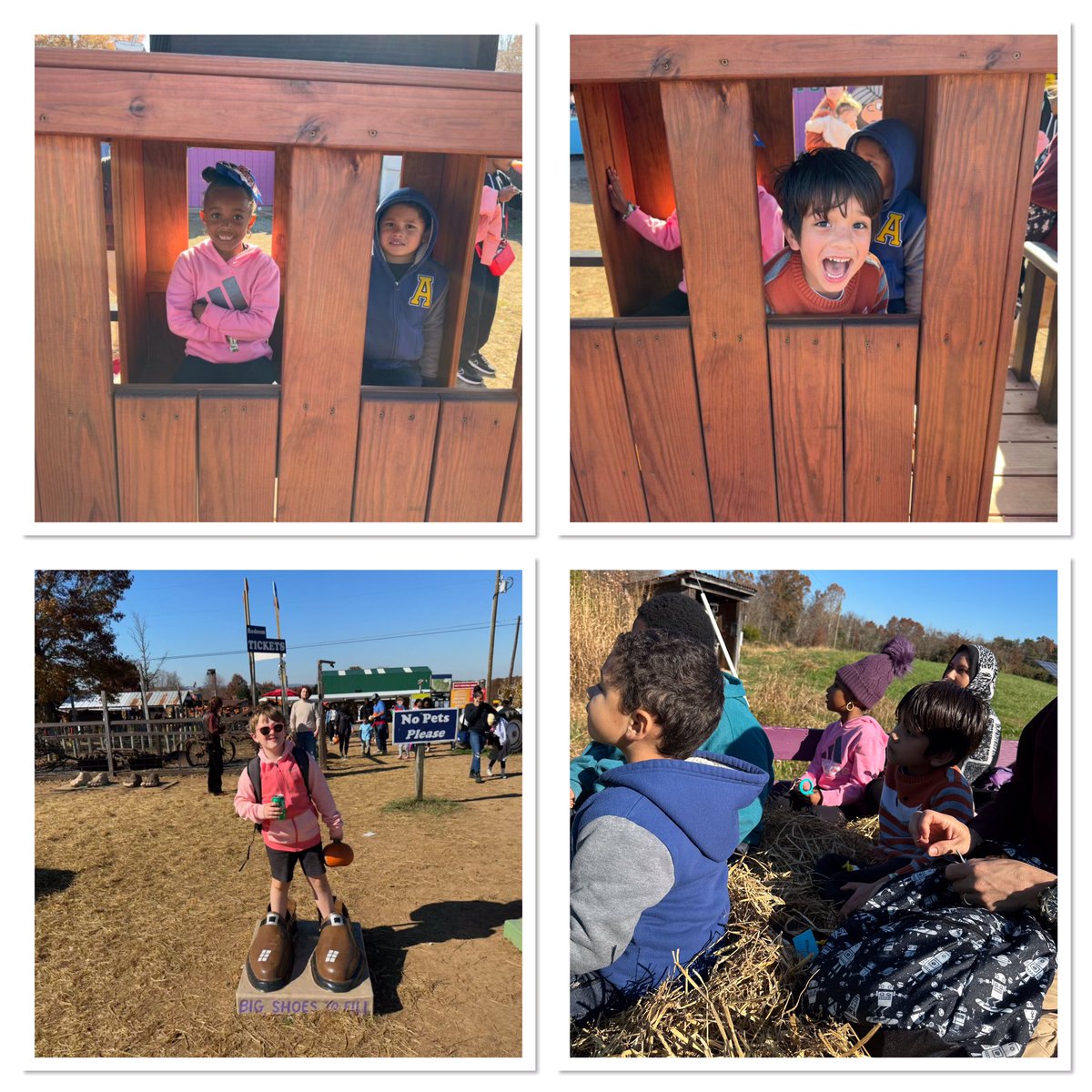 Field Trip to Cox Farm was a hit. Everyone returned with a huge smile and pumpkins! Our parents and teachers are great!❤️@Bel_Air_ES <a href="/baes_sped/">Special Education Team</a>