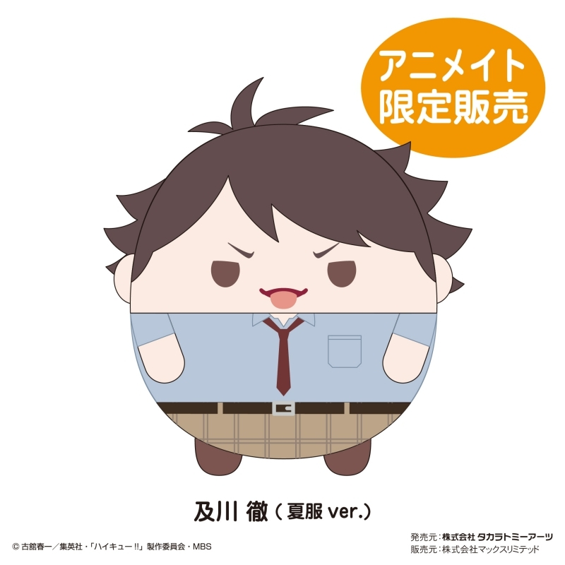 ハイキュー!! ふわコロりん 6 BOX アニメイト 限定 特典 及川徹 夏服 ハイキュー!! グッズ新作情報 on X: