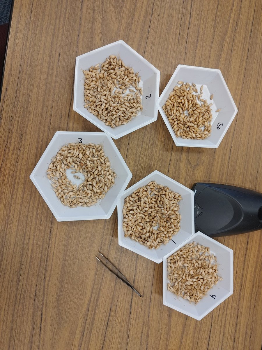 canadianbarley's tweet photo. Our 3 day Malt Academy is underway with a dozen participants from across western Canada here to learn about malt processing, brewing and the Canadian malting barley value chain. #backintheclassroom https://t.co/FGc0raTUuA