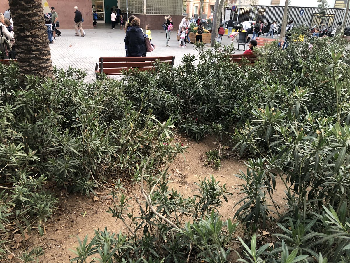afaitaca's tweet photo. Per fi, el govern @bcnencomu @psclescorts @BCN_LesCorts ha enviat a netejar la plaça @escola_itaca pq deixi de ser una deixalleria.
Però @jordigbcn79, dels avisos x vies oficials fa quasi un mes. Esperem no haver de recórrer més a Twitter pq la neteja a entorns escolars continuï https://t.co/mHnsEZiUyI