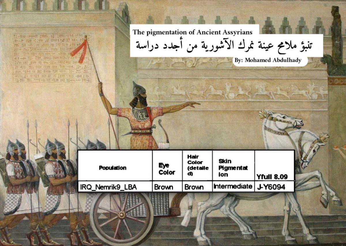 ☆ ملامح عينة نمرك الآشورية حسب اجدد دراسة جينية 

حيث ظهر ان العينة تحمل لون البشرة "القمحية" مع لون شعر وعيون "داكنة"، علماً أن العينة تحمل أصول وراثية سامية شرقية بنسبة 60% الي 80% بدلالة هياكل إيبلا، والبقية أصول من كورا-اراكسيز أو من الحورو-اورواتيين بدلالة الهياكل القديمة