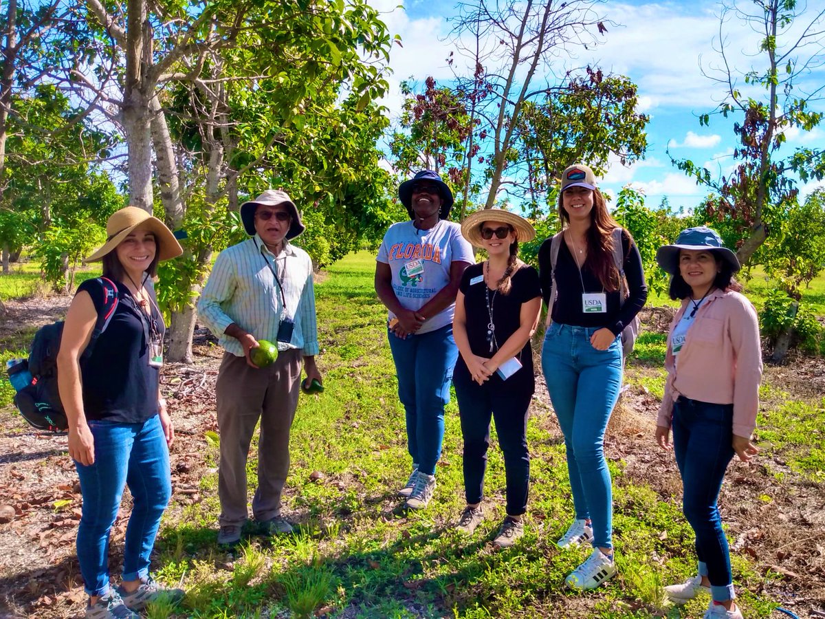 Tropical Plant Clinic & Research Lab (@clinicplant) on Twitter photo Building collaborations: Lab field trip to <a href="/USDA_ARS/">Agricultural Research Service</a> subtropical horticultural research station - full day learning about tropical fruit 🥭🥑 germplasm collections 🤓🤓 <a href="/UFTropical/">UF IFAS Tropical Research and Education Center</a> <a href="/UFPlantPath/">UF/IFAS Plant Pathology Department</a> #research #SoFL #tropicalfruits <a href="/APS_Tropical/">APS Tropical Plant Pathology Committee</a> <a href="/sd_aps/">APS SouthernDivision</a> <a href="/USDA/">Dept. of Agriculture</a> <a href="/NifaScriAvocado/">NIFA SCRI Avocado</a> Building collaborations: Lab field trip to <a href="/USDA_ARS/">Agricultural Research Service</a> subtropical horticultural research station - full day learning about tropical fruit 🥭🥑 germplasm collections 🤓🤓 <a href="/UFTropical/">UF IFAS Tropical Research and Education Center</a> <a href="/UFPlantPath/">UF/IFAS Plant Pathology Department</a> #research #SoFL #tropicalfruits <a href="/APS_Tropical/">APS Tropical Plant Pathology Committee</a> <a href="/sd_aps/">APS SouthernDivision</a> <a href="/USDA/">Dept. of Agriculture</a> <a href="/NifaScriAvocado/">NIFA SCRI Avocado</a>