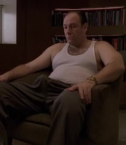 Alex007Stark's tweet photo. #LROnega vai disfrazado de Tony Soprano. https://t.co/41pQMXQvnS
