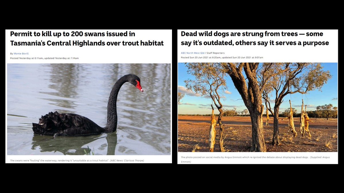 Professor Euan Ritchie 🌏 🌳 🐾 🔥 🎶 on Twitter: "Come to Australia, land