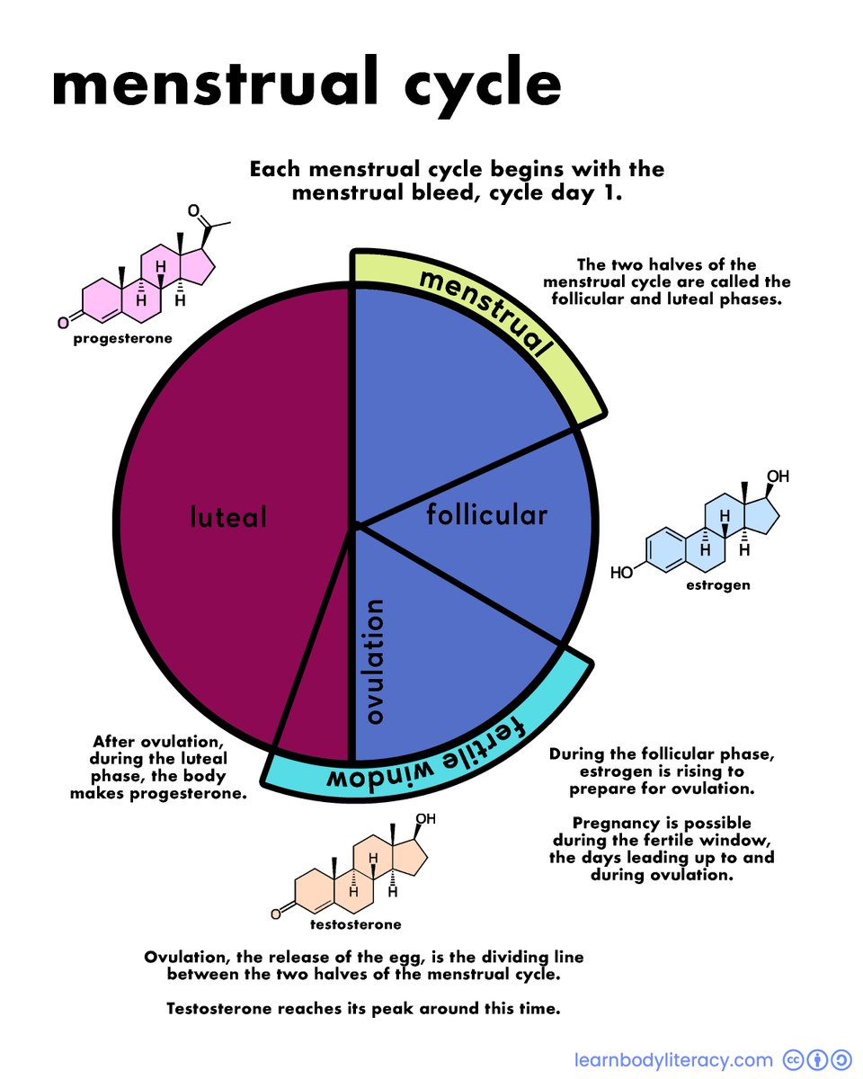 Learn Body Literacy • #FAMTaughtMe tweet media