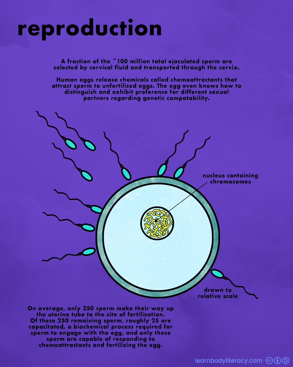 Learn Body Literacy • #FAMTaughtMe tweet media