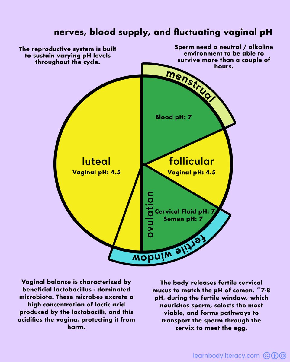 Learn Body Literacy • #FAMTaughtMe tweet media