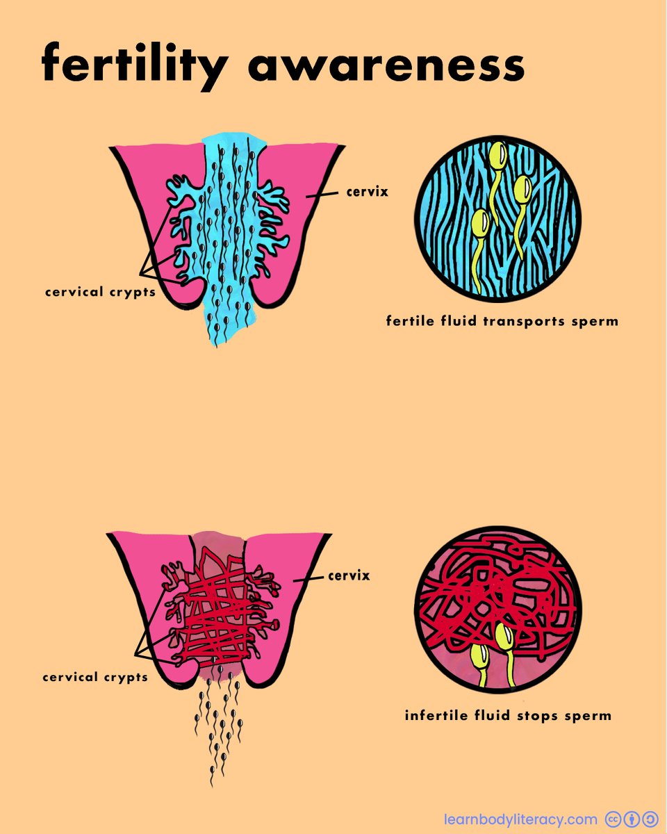 Learn Body Literacy • #FAMTaughtMe tweet media