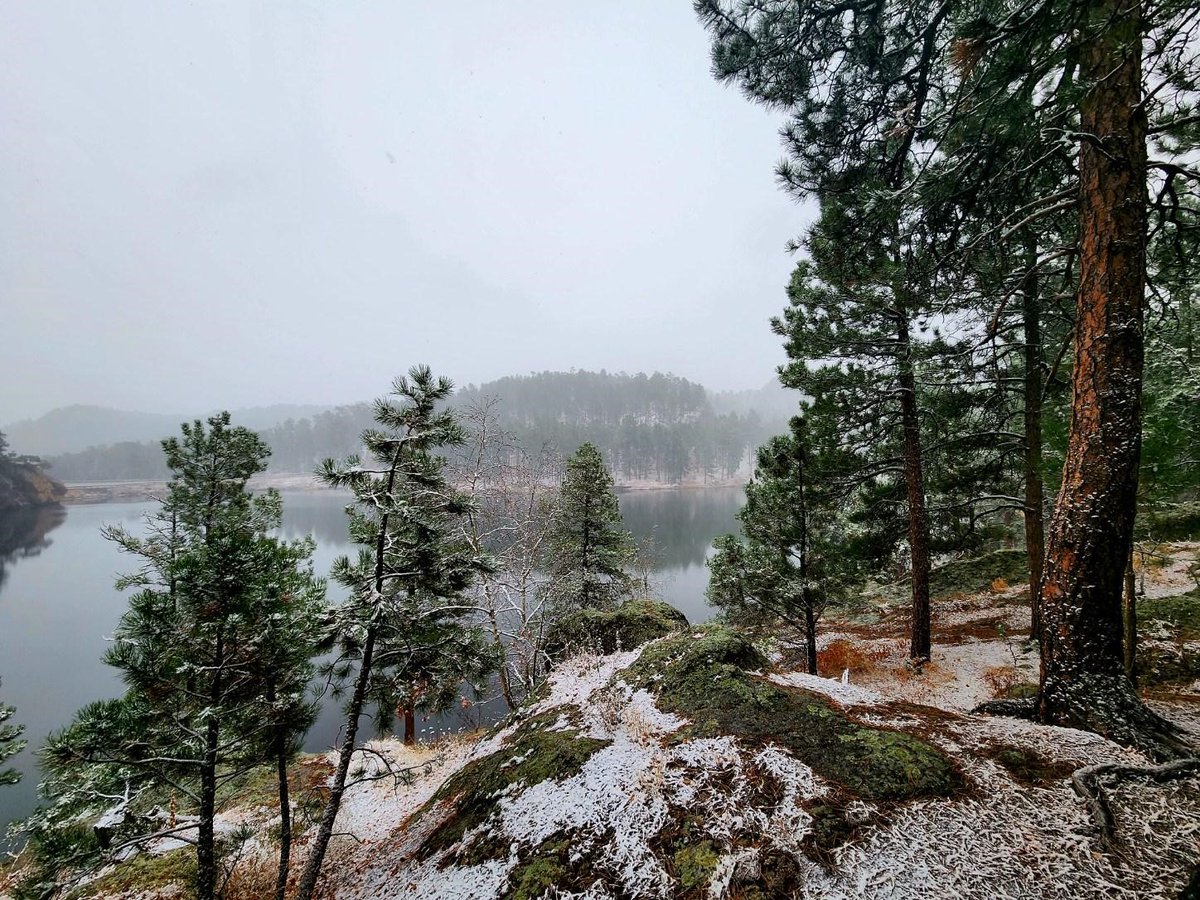 BlackHillsNF's tweet photo. For those that enjoy a change in scenery, Horsethief Lake is showcasing its off-season beauty today (11/3/22). #getoutside &amp; #findyourforest https://t.co/od11Wtov3D