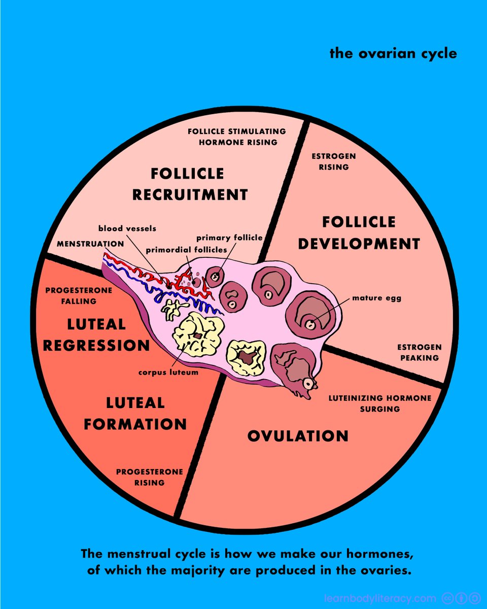 Learn Body Literacy • #FAMTaughtMe tweet media