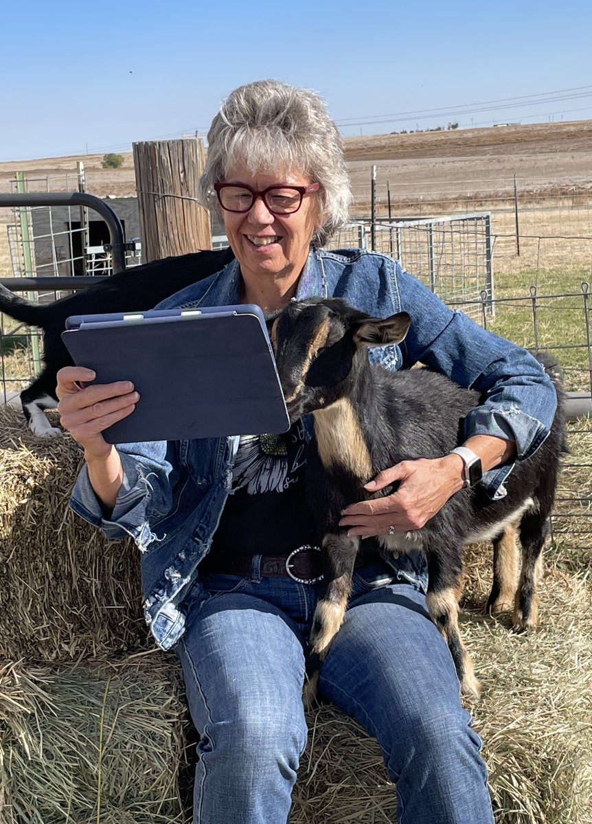 BrasbyKathy's tweet photo. I'm reading the Kindle version of "Recruit of Talionis" on my iPad with Rosie Cotton. We're in Colorado. #where-in-the-world-is-recruit-of-talionis https://t.co/XqaTWByOVm