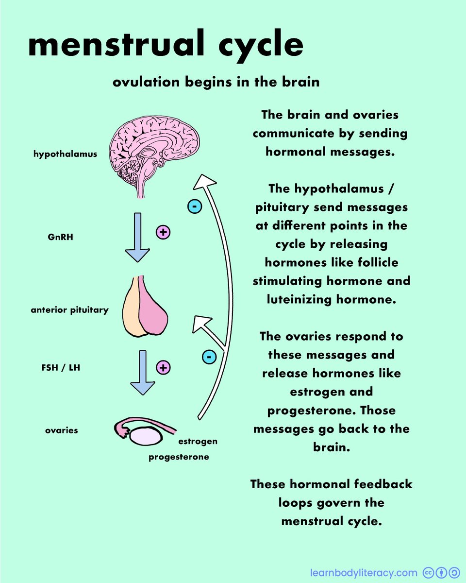 Learn Body Literacy • #FAMTaughtMe tweet media