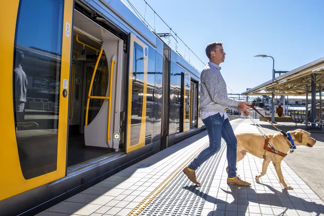 AfdoOffice's tweet photo. Have Your Say on the Transport for NSW Disability Inclusion Action Plan 2023-2027.
1. Complete the 10-minute online survey
2. Provide a written submission or
3. Attend a forum in Nov 2022.
To participate in 1 of these ways, please click here:
https://t.co/vHo58ugHvO
#disability https://t.co/ohQpCE35eU