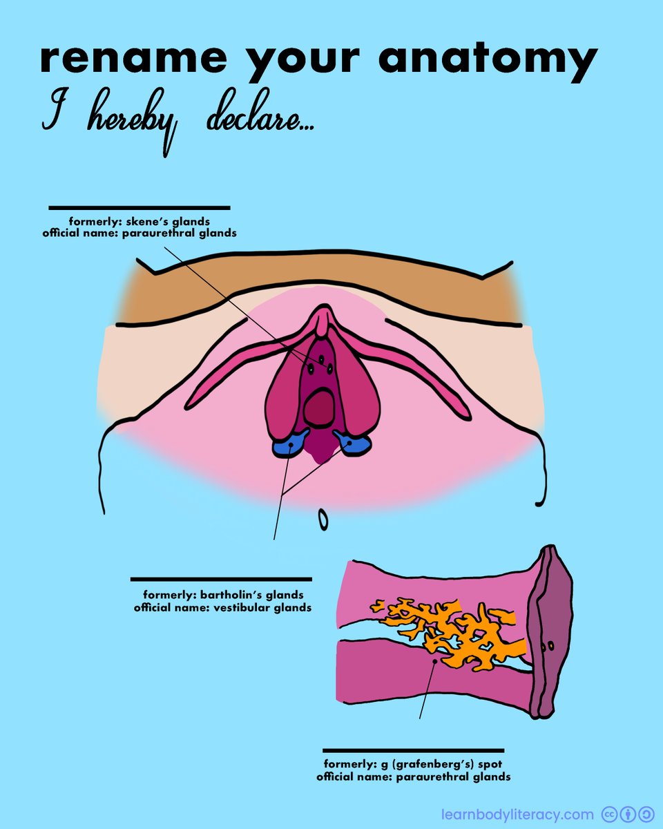 Learn Body Literacy • #FAMTaughtMe tweet media