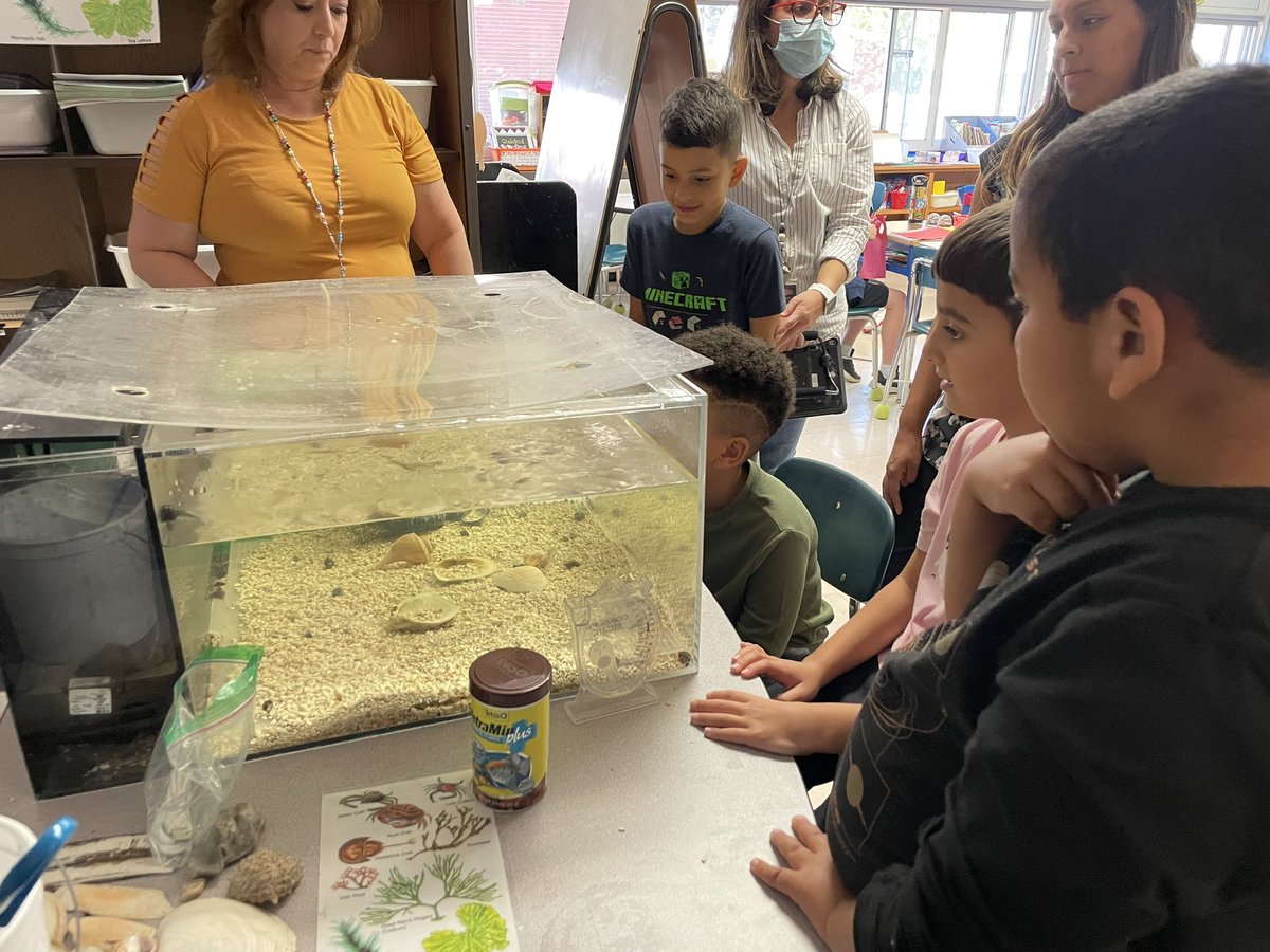 Mrs. Anusiak tweet media