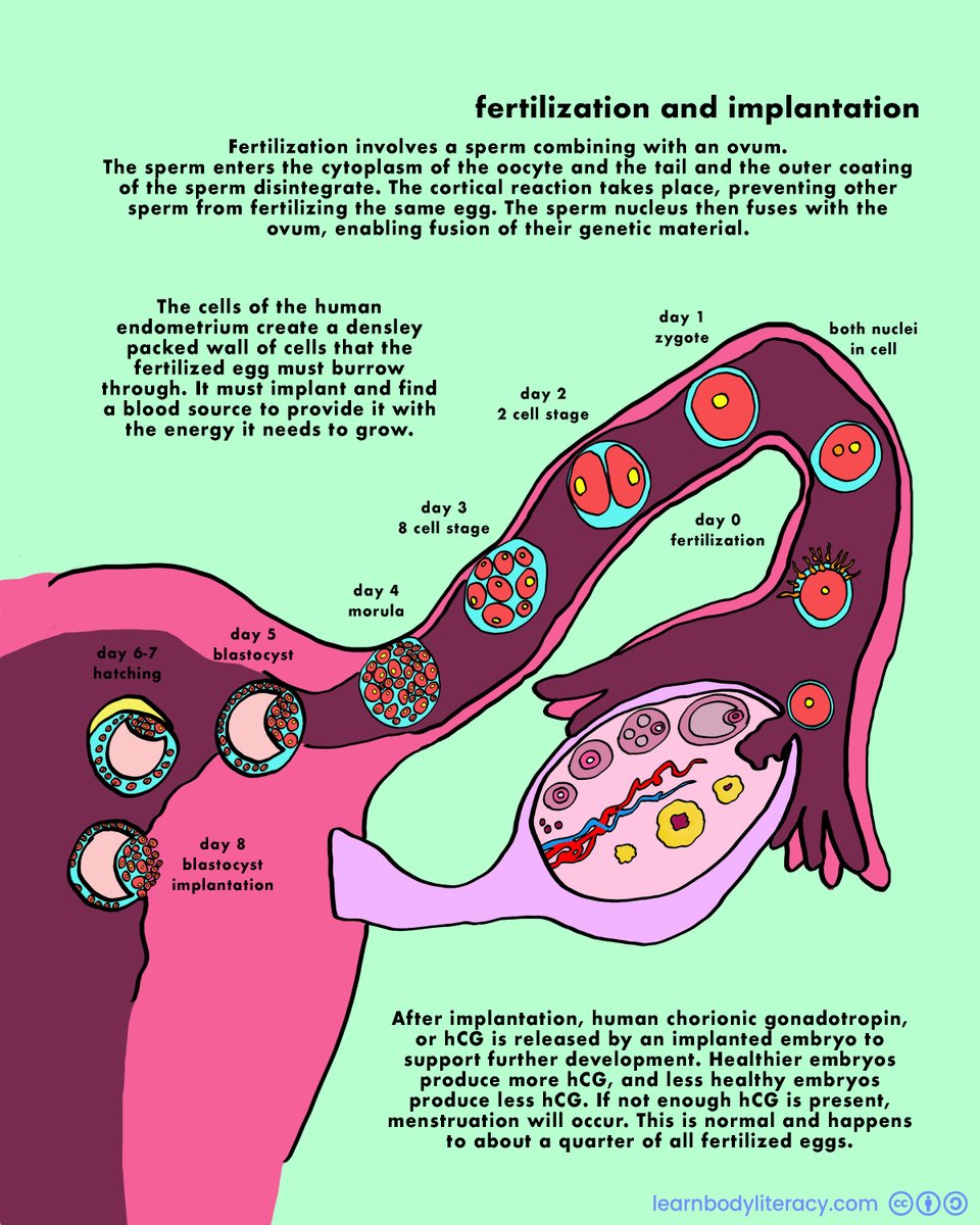 Learn Body Literacy • #FAMTaughtMe tweet media