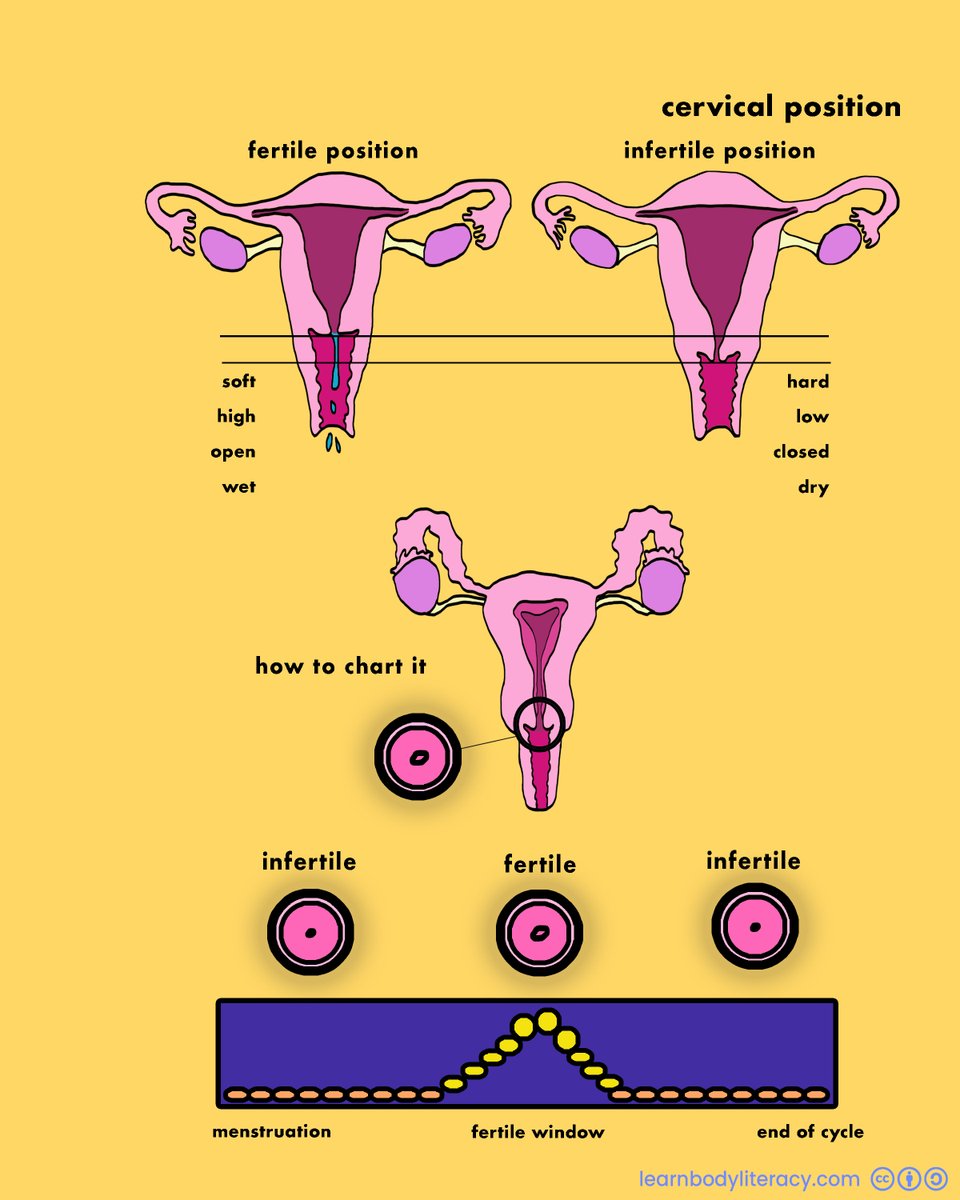 Learn Body Literacy • #FAMTaughtMe tweet media