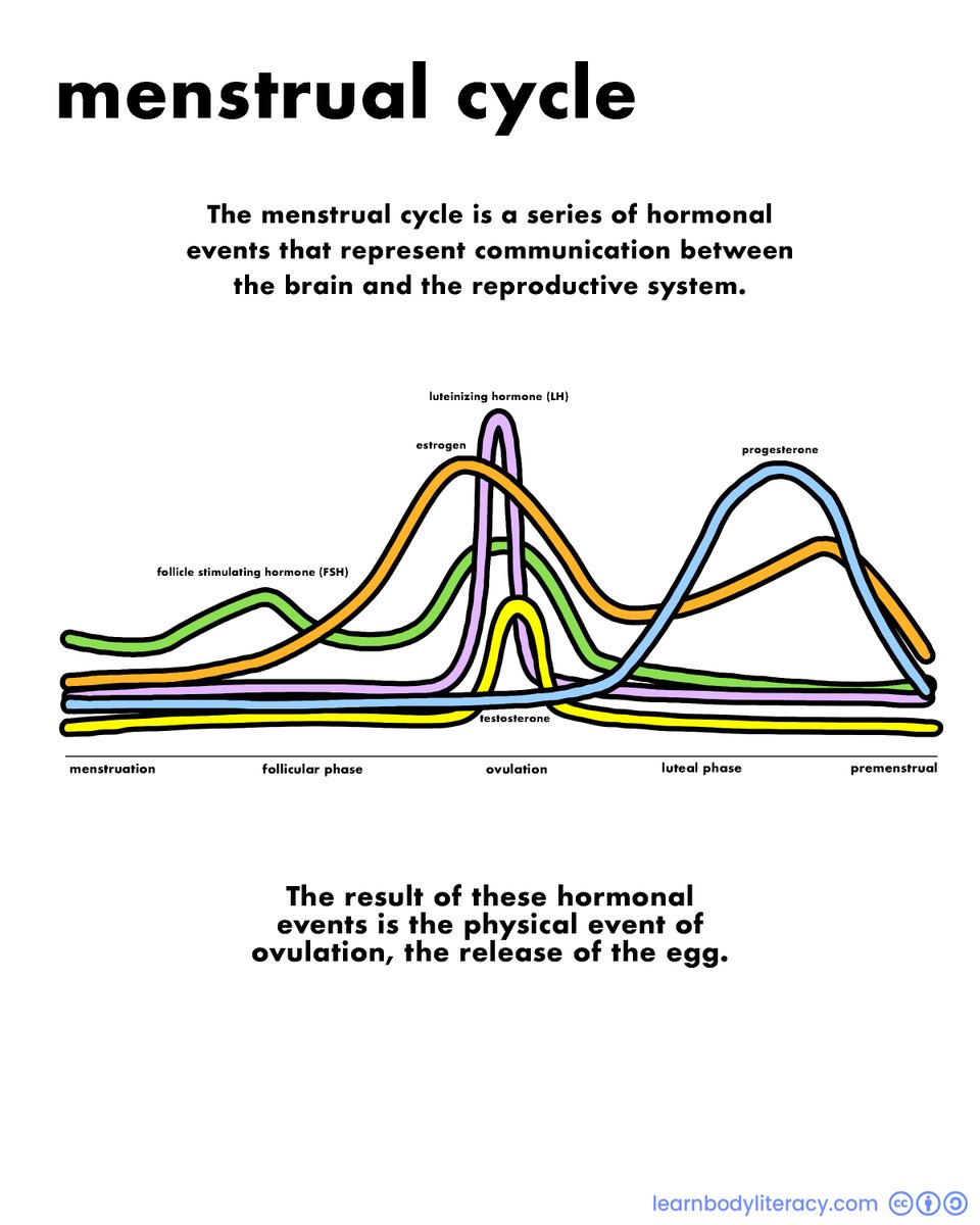 Learn Body Literacy • #FAMTaughtMe tweet media