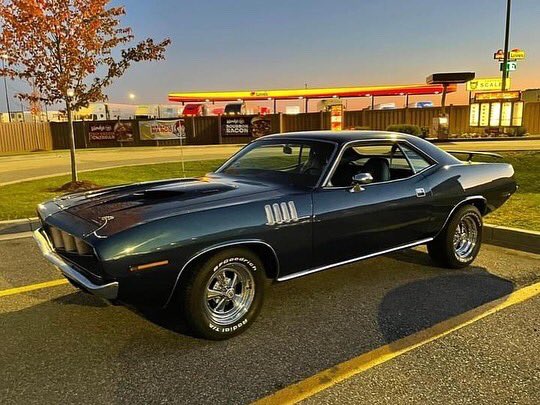 TorqueAmerican's tweet photo. Awesome Cuda !
#torqueamerican 
#plymouthcuda 
#cuda 
#mopar 
#moparornocar 
#musclecar 
#musclecars 
#musclecarzone 
#classiccar 
#americanclassiccars https://t.co/Lmq1xILsTJ