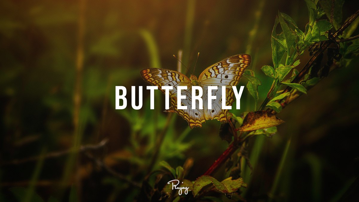 RujayMusic's tweet photo. New upload! “Butterfly” - Inspiring Rap Instrumental Beat | @InfiniteRB #Instrumentals

Let us know what you think! 🎧

https://t.co/HI8FvLcUPN via @YouTube https://t.co/gB36vzdjWD