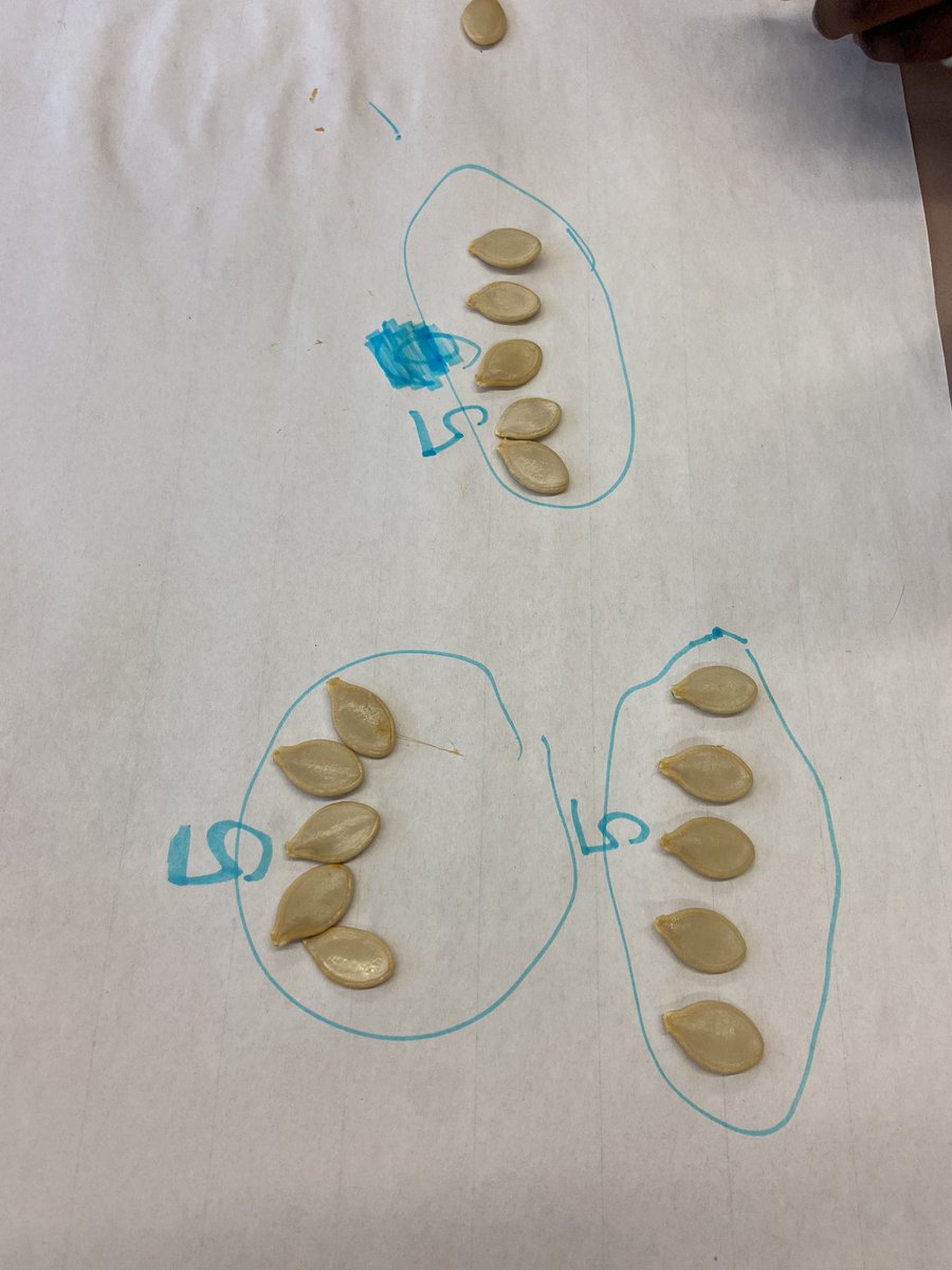MsMandarano's tweet photo. Part 2 of our pumpkin math fun! After taking out the pumpkin seeds from their pumpkins, students counted using different strategies! We had a great conversation on quick and efficient ways to count a large amount of items. #RichLearning #WinnipegSD #Grade2 https://t.co/WuelZr8GqI
