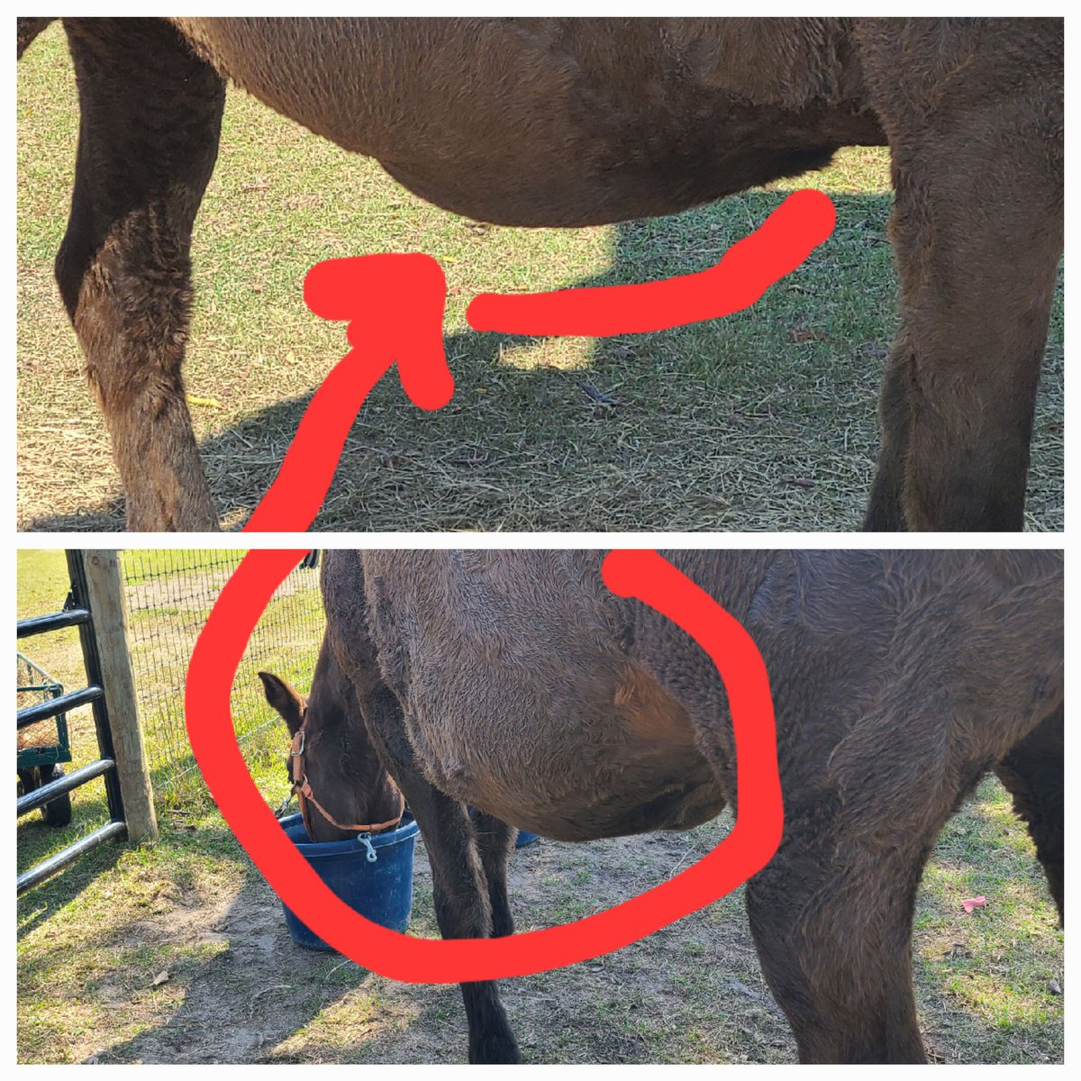 Beau's Wife on Twitter "This is what had me so worried. Top picture is