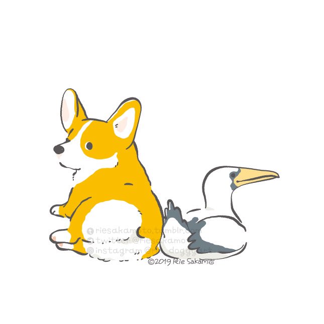 推しのコーギーと野鳥たちのもふもふおしり#いい推しの日 #いいおしりの日 