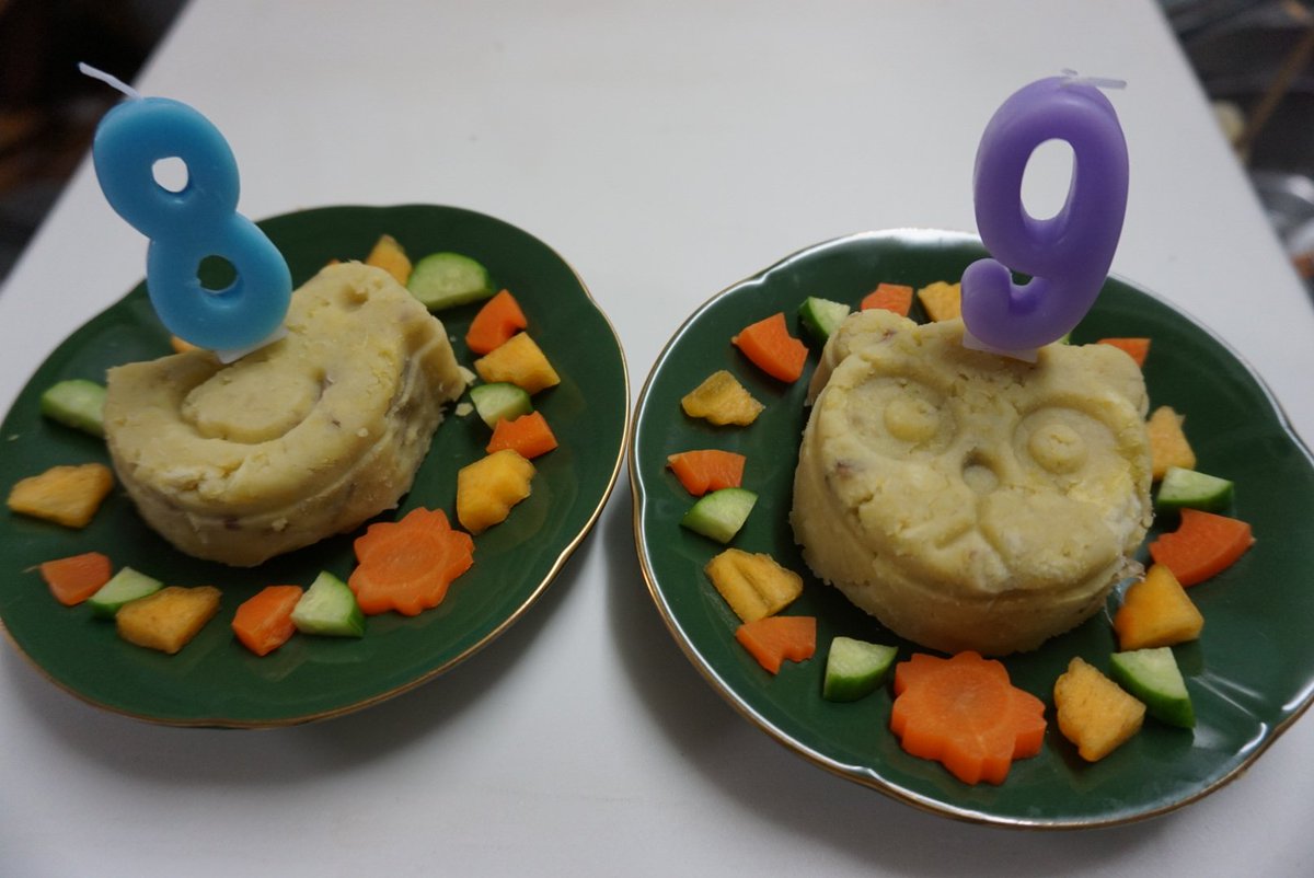 あずきなの誕生会。あずきは９歳、きなこは８歳です。