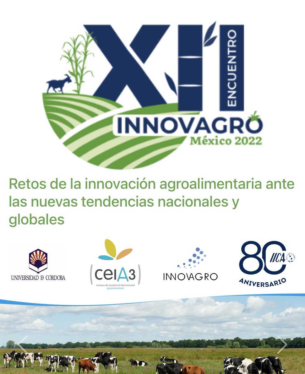 El próximo martes 8 de noviembre estaré participando en el XII Encuentro @redinnovagro, conversando sobre los retos y oportunidades de los ecosistemas de #innovación agroalimentaria en ALC. Conoce los detalles en bit.ly/3NyYNwT @EAPZamorano #AlServicioDeLasAméricas