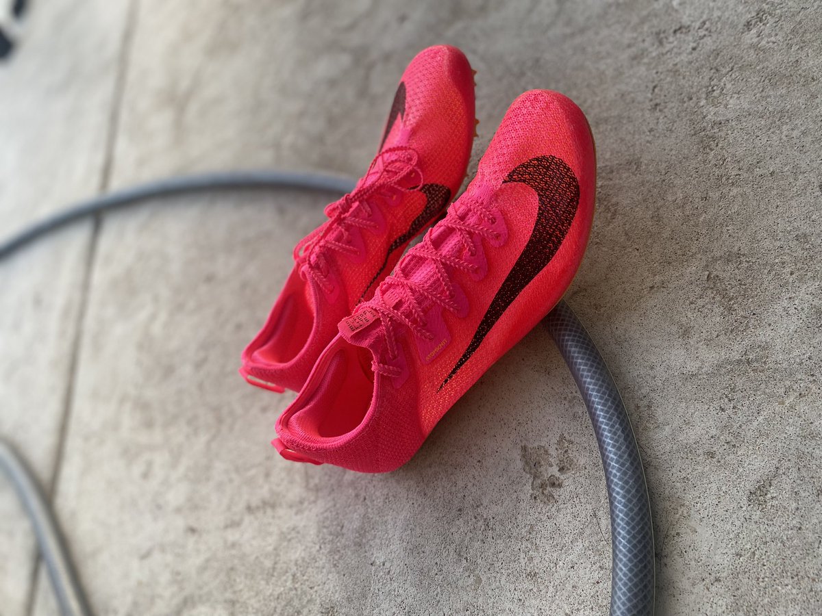 ConnorNeuse01's tweet image. Their stunning🫣🤩