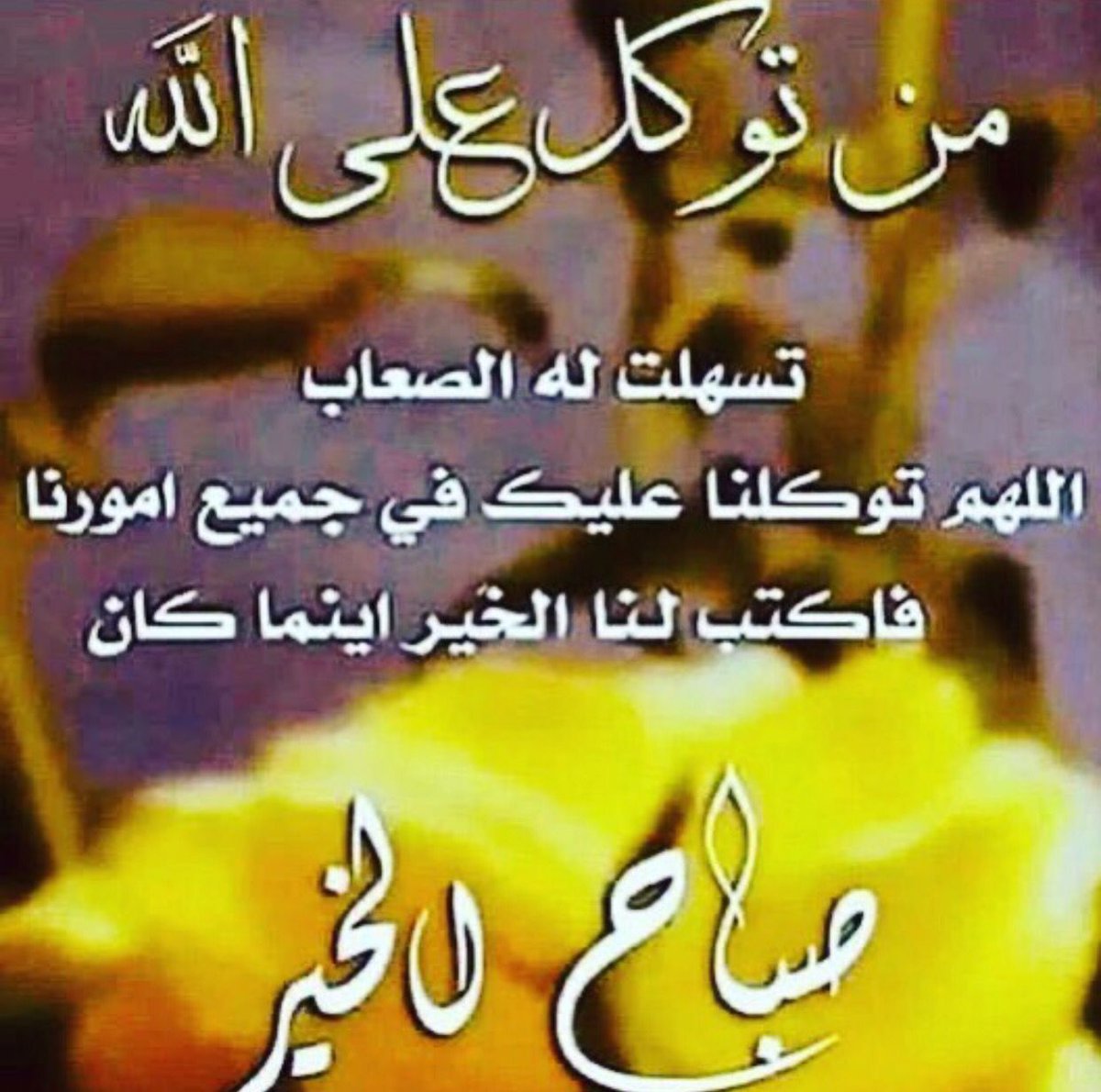alsalm_mha's tweet photo. @Mohamed13846152 https://t.co/p7f2os1cYD