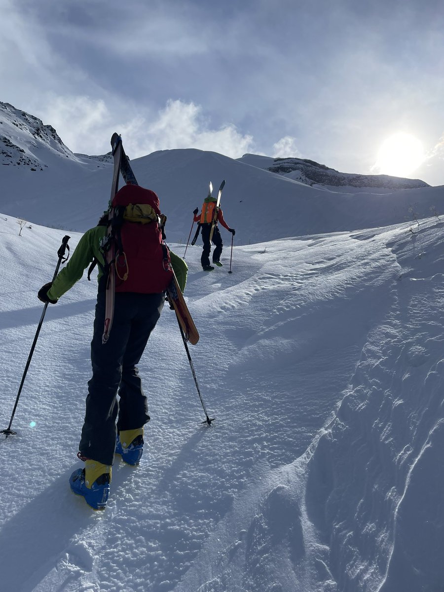 Alison Sydor 😈👻🐸 tweet media