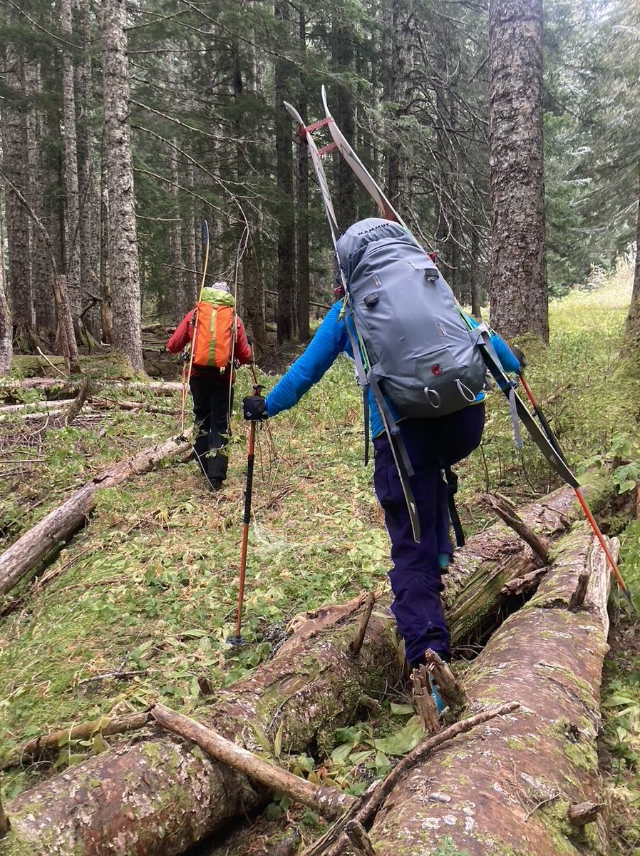 Alison Sydor 😈👻🐸 tweet media