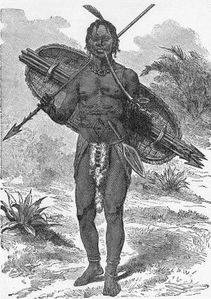 ⑧ウランボ王国
ニャムウェジ族の商人、下級酋長の息子として生まれたミランボにより作られた王国。ヨーロッパ人との象牙や奴隷などの交易を通じ、銃器を手に入れ、さらにンゴニの支族ワトゥータ族からズールーの軍事技術を導入し、領土を拡大した。
ミランボはアフリカのナポレオンとも知られている。 