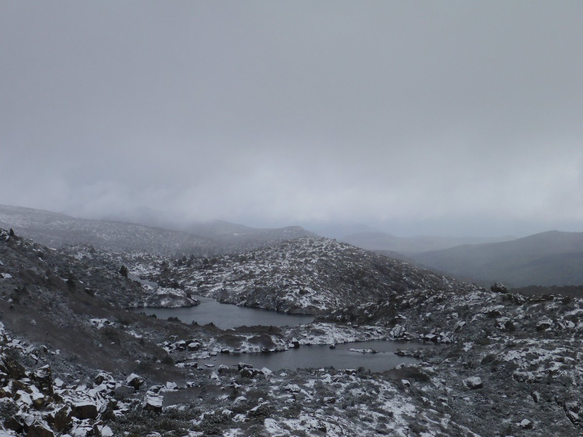 looksouth's tweet photo. #MtField November. Ricey snow blown hard up top at Tarn Shelf. Fagus out in blockstream downhill. #Tasmania https://t.co/5OBhZX6Tn0