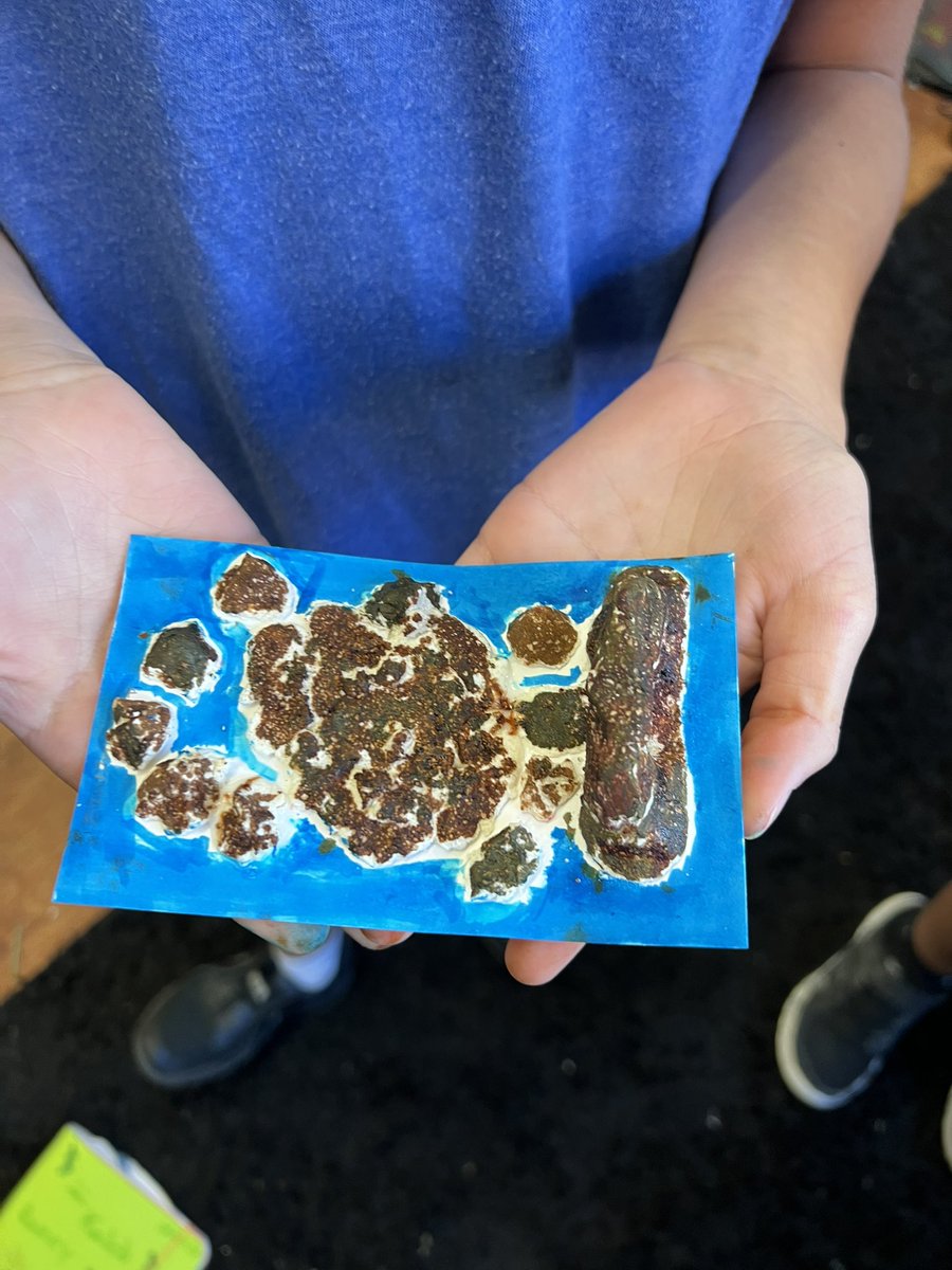 Mrs. Redmon tweet media