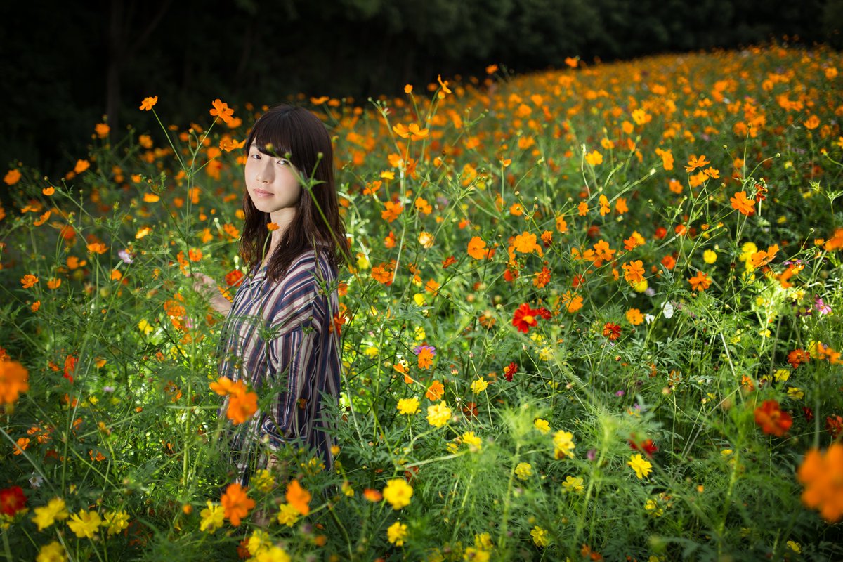 nansya tweet media