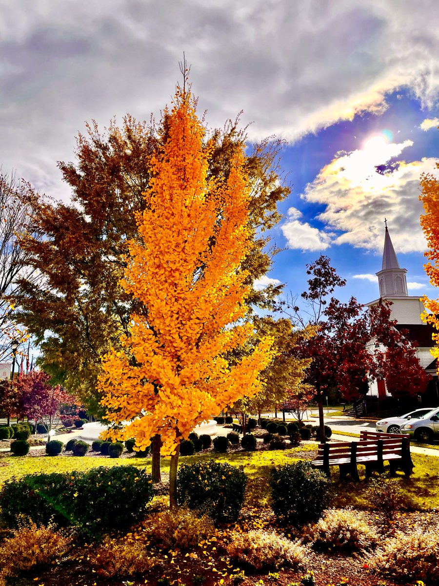 HDRCHIC's tweet photo. Be thankful - we are surrounded by His beautiful creation. # Village at Orchard Ridge Winchester Virginia https://t.co/jhj8gxJfLp