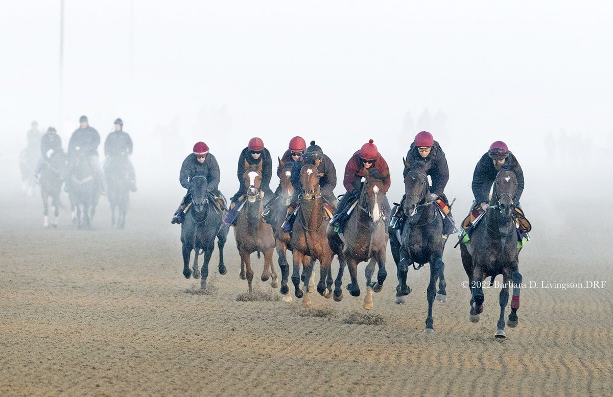 Aidan's Army, another day😆

Aidan O'Brien's horses always "wow" galloping in the mornings, and the sound of their hooves and breathing seem a movie scene. But it's soooo extra-cool in fog! 

This morning at Keeneland; 2020 BC Turf Mile winner Order of Australia leads the way.