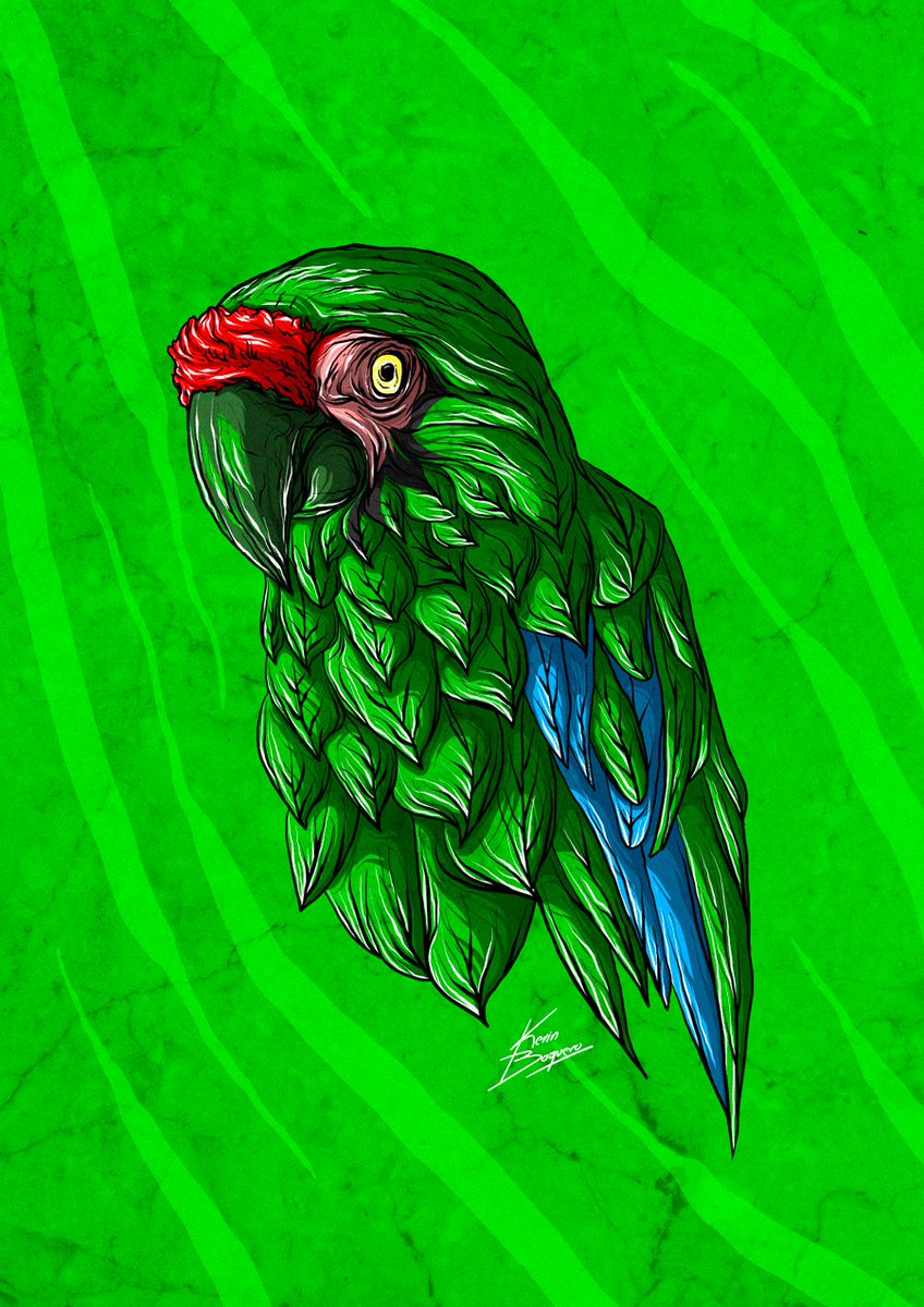 KevinBaqueroec's tweet photo. #ilustracion #ilustration #art #arte #artistawacomecuador https://t.co/hQTHegIavQ