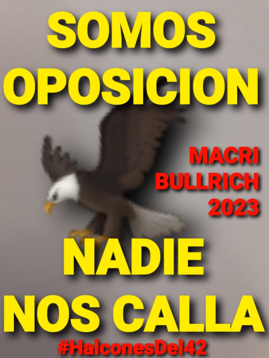 🦅HALCONES🦅
#NadieNosCalla
@PatoBullrich
@mauriciomacri