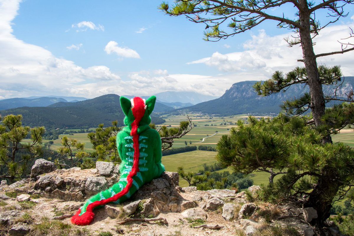FurJorden's tweet photo. Sit next to me and enjoy the beautiful view. 

📸: Sivath

#FursuitFriday #Austria https://t.co/zD5kSJ7DkX